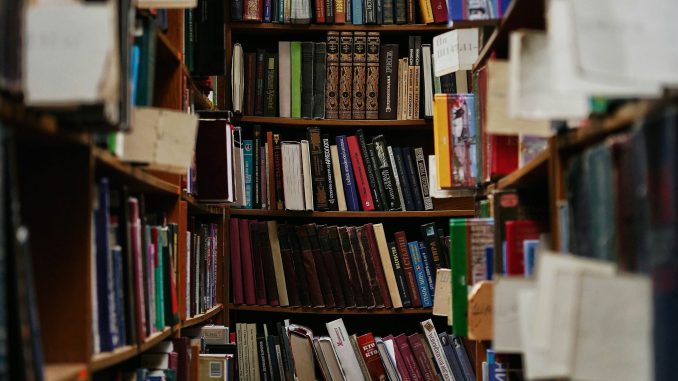 Line shelves of books, the photo feels like you are walking between the shelves.